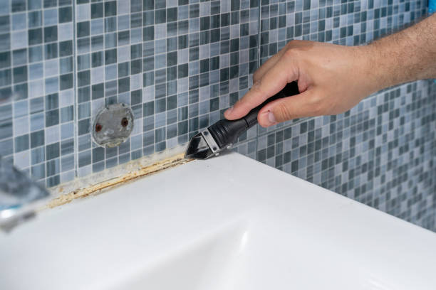 Professional Mold Remediation in Berwyn Heights, MD